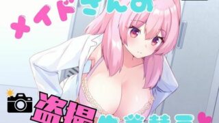 メイドさんの盗撮生着替え【P＆I】