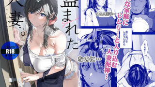 盗まれた人妻【ROUTE1】